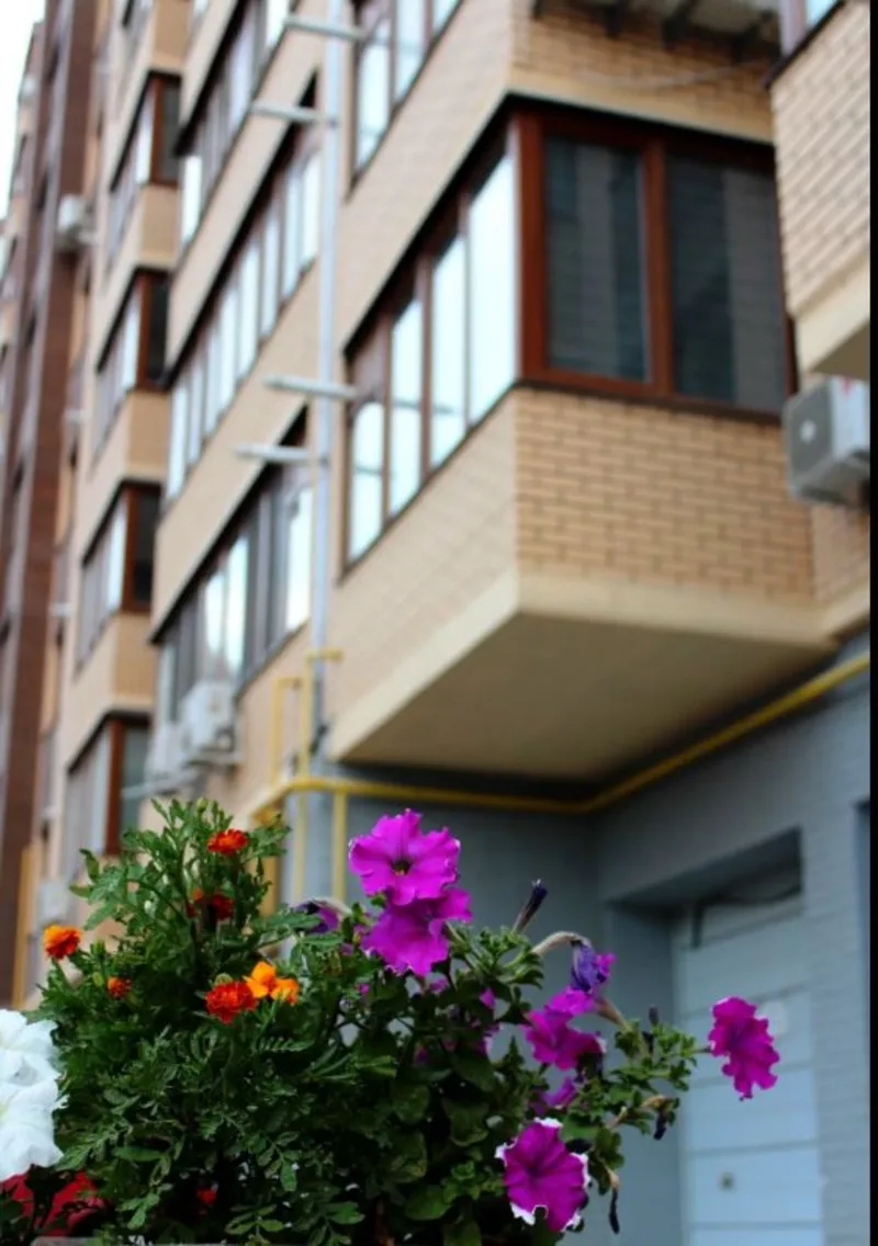 Квартира, 38,8 м², Чайка