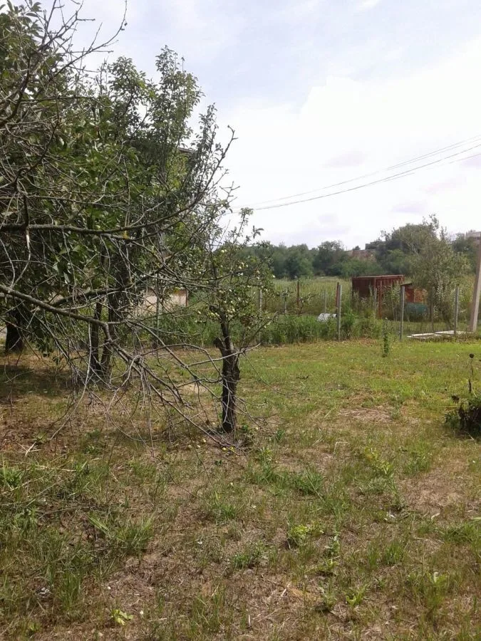 Land, Oleksandrivka