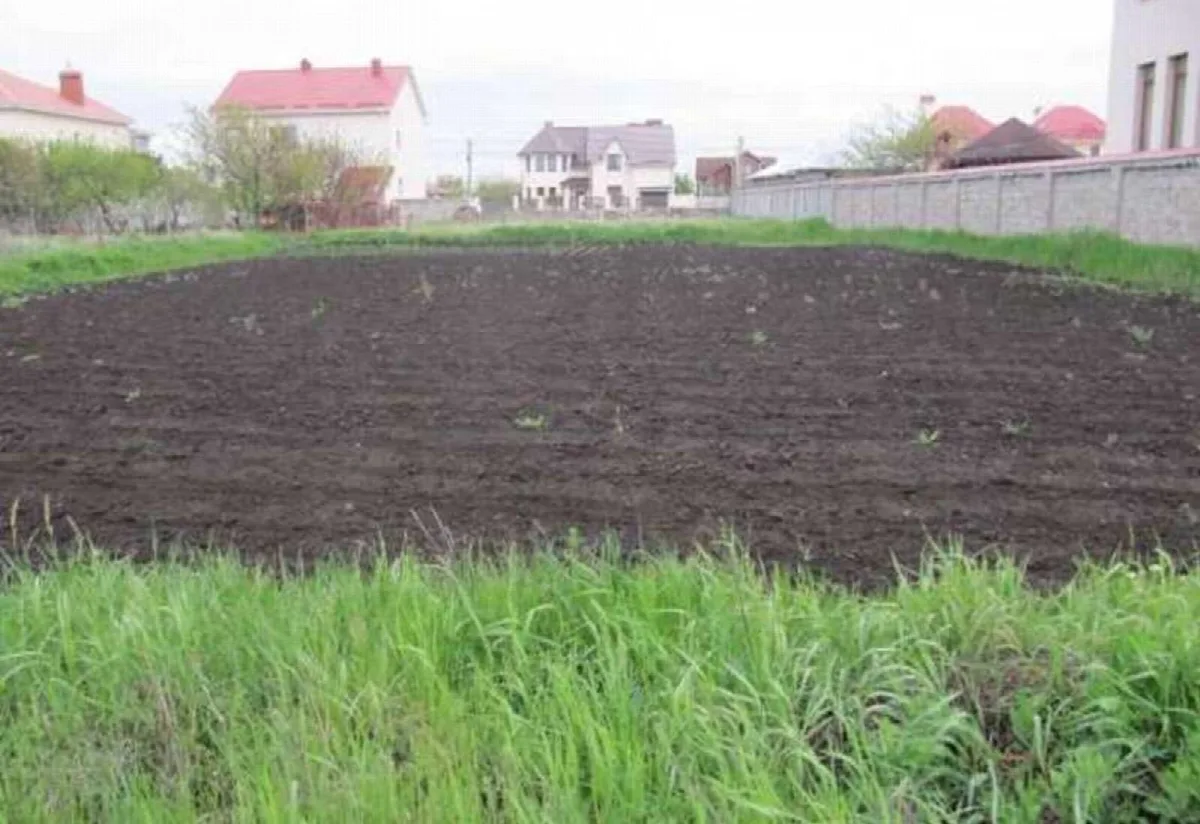 Ділянка, Царське Село