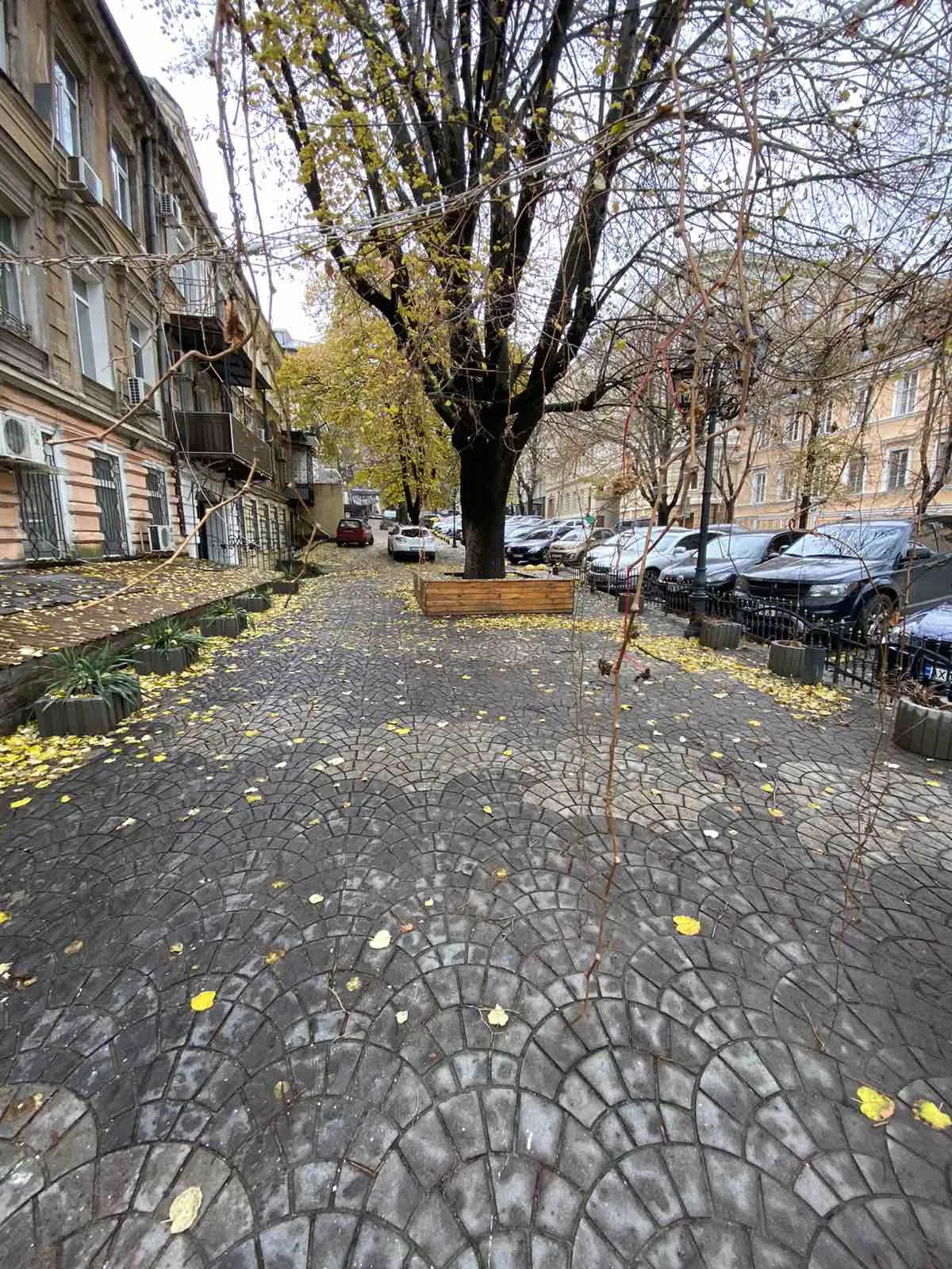 Commercial, 165 m², City centre