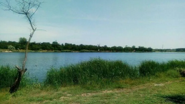 Land, 16 m², Nova Dolyna