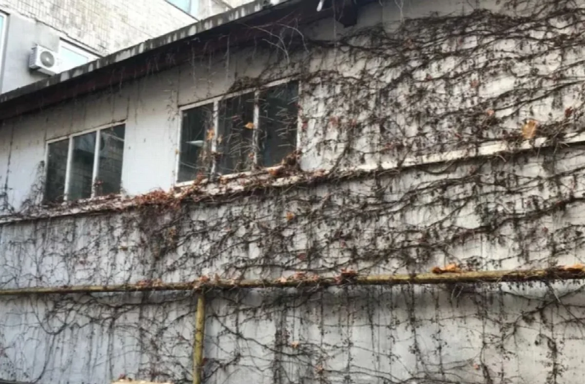 Комерційна, 141 м², Шевченко-Французький