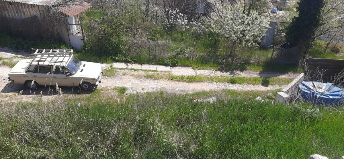 Land, Dacha Kovalevskoho