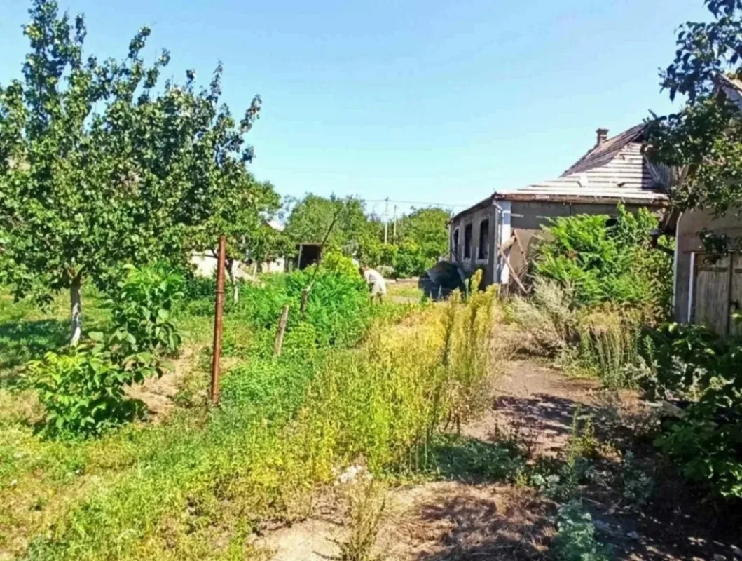 3-кімнатний будинок, 60 м², Грибівка