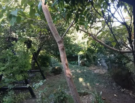 2-кімнатний будинок, 60 м², Таїрова