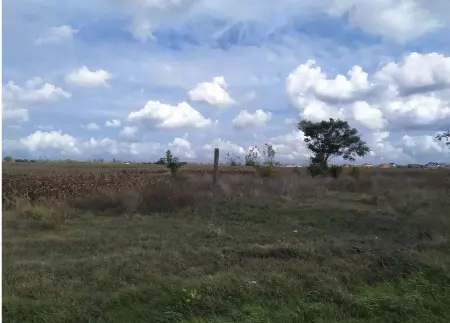 Land, Avanhard