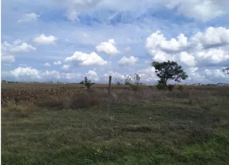 Ділянка, Авангард