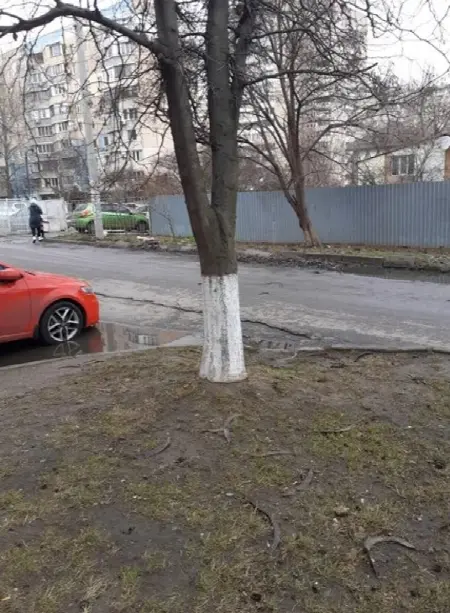 Участок, Таирова