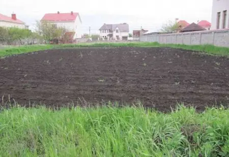 Участок, Царское село