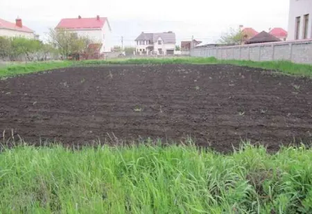 Ділянка, Царське Село