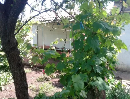 3-кімнатний будинок, 62 м², Чубаївка
