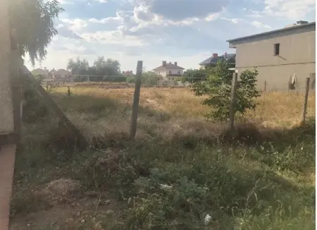 Участок, Совиньон