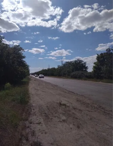 Ділянка, Зелений Гай