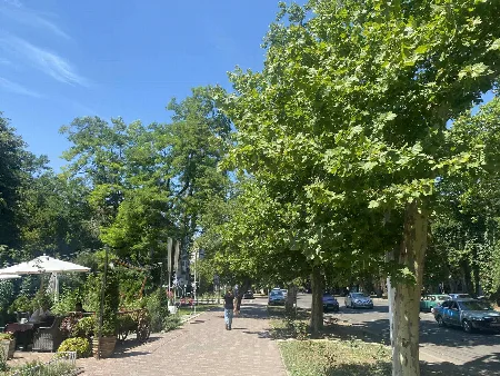 Комерційна, 40 м², Шевченко-Французький