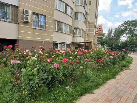 Комерційна, 60 м², Одеський, Черьомушки