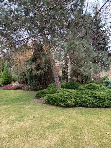 5-кімнатний будинок, 550 м², Фонтан