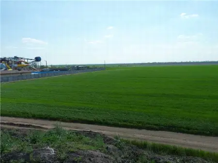 Ділянка, Авангард