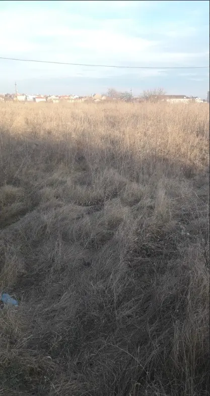 Ділянка, Бурлача Балка