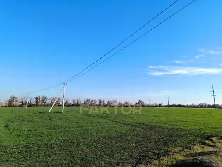 Участок, Великий Дальник