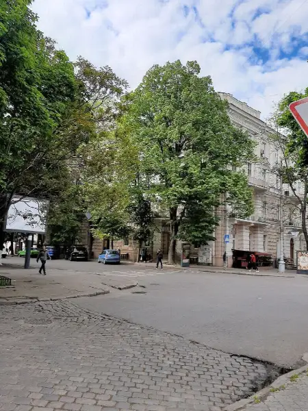 Commercial, 155 m², City centre