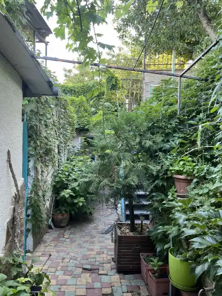3-кімнатний будинок, 84 м², Дача Ковалевського