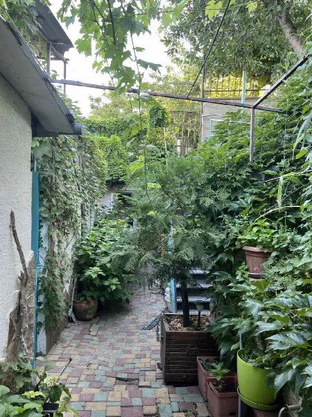 3-кімнатний будинок, 84 м², Дача Ковалевського