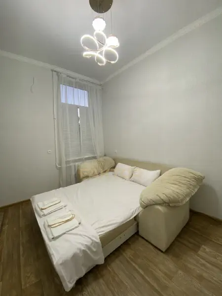 1-комнатная квартира, 16 м², Центр