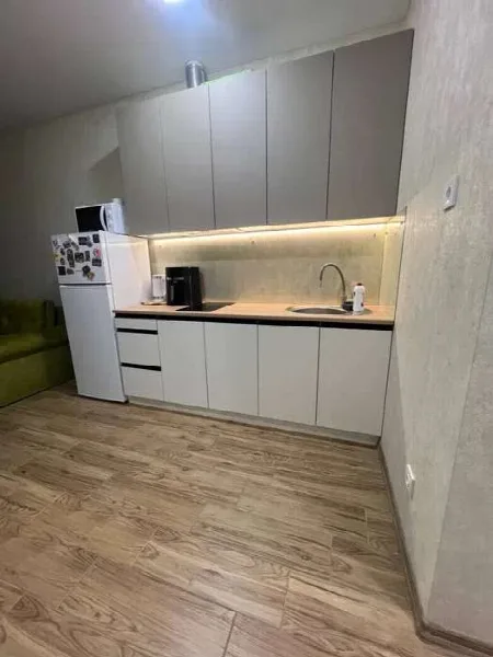 1-room apartment, 27 m², Akvarel 2, Tairova
