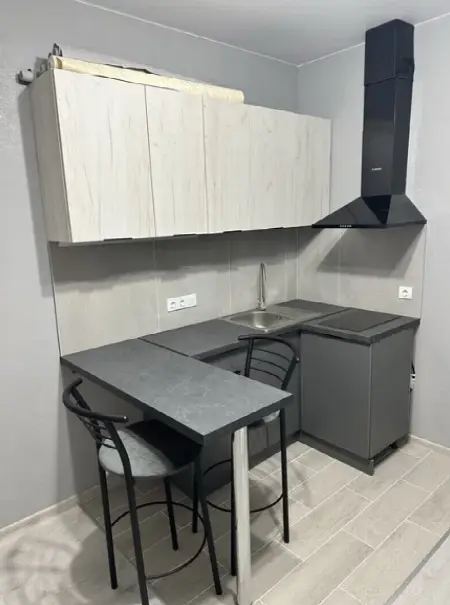 1-кімнатна квартира, 29 м², Золоті Стовпи, Слобідка
