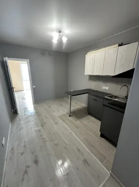 1-кімнатна квартира, 29 м², Золоті Стовпи, Слобідка