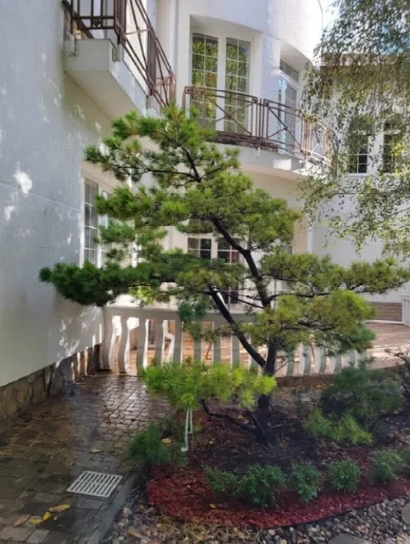 6-кімнатний будинок, 650 м², Фонтан