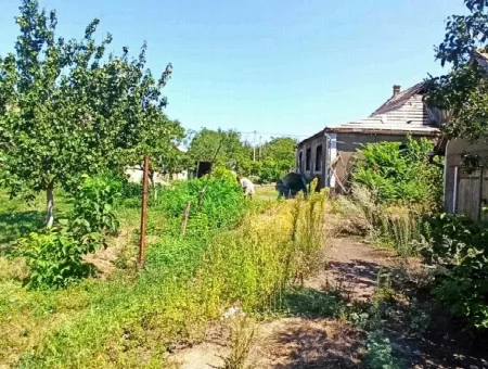 3-кімнатний будинок, 60 м², Грибівка