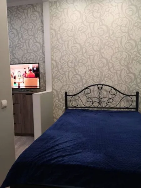 1-комнатная квартира, 20 м², Центр