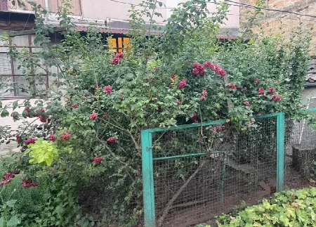 3-кімнатна квартира, 56 м², Молдаванка