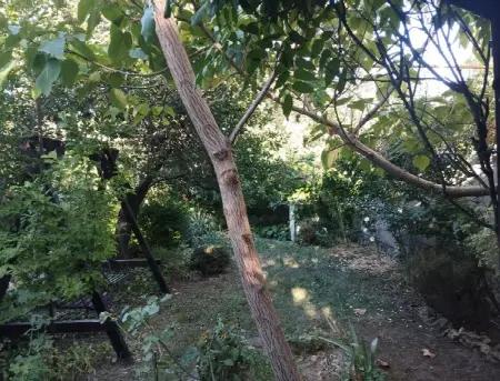 2-кімнатний будинок, 60 м², Таїрова