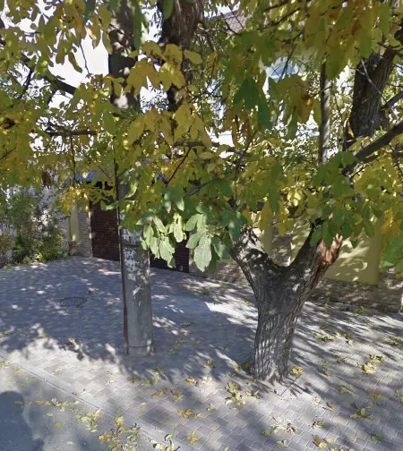 Участок, Фонтан