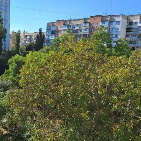 1-кімнатна квартира, 35 м², Таїрова