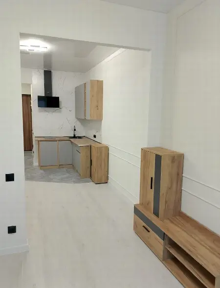 1-комнатная квартира, 30 м², Золотые столбы, Слободка
