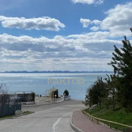 Участок, Сосновый берег