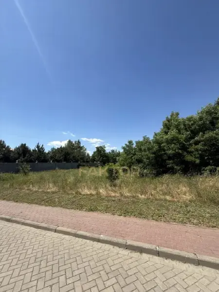 Участок, Сосновый берег