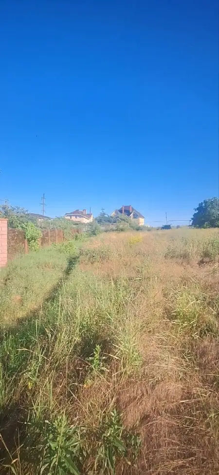 Ділянка, Дачне