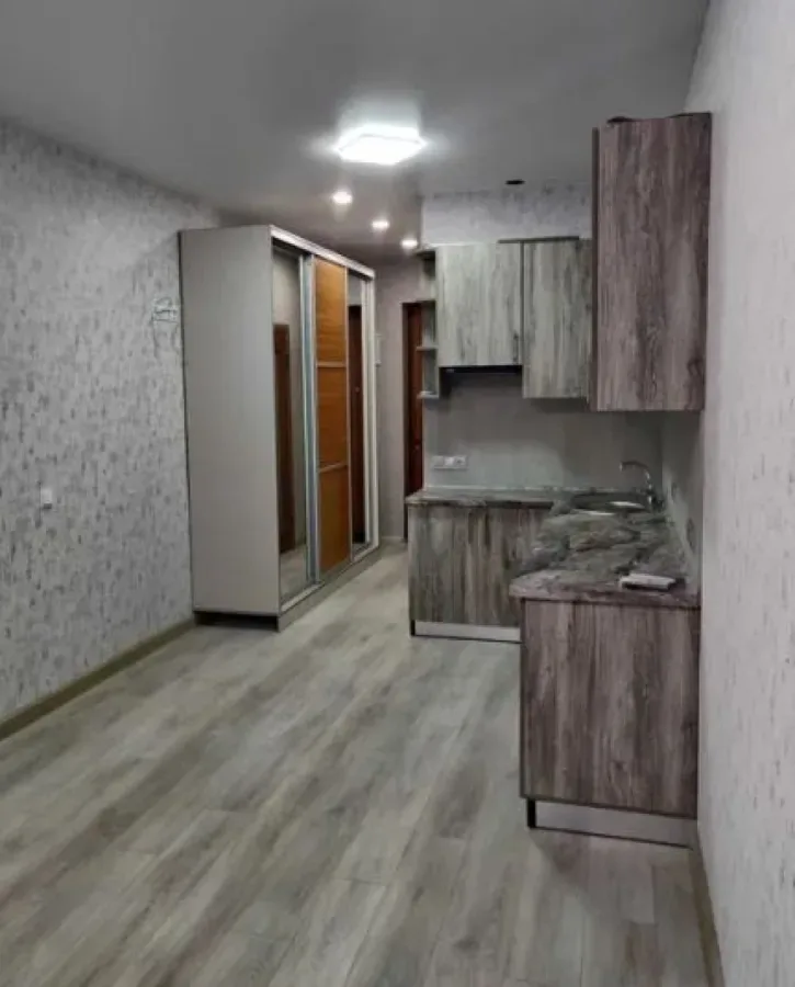 1-комнатная квартира, 30 м², Золотые столбы, Слободка
