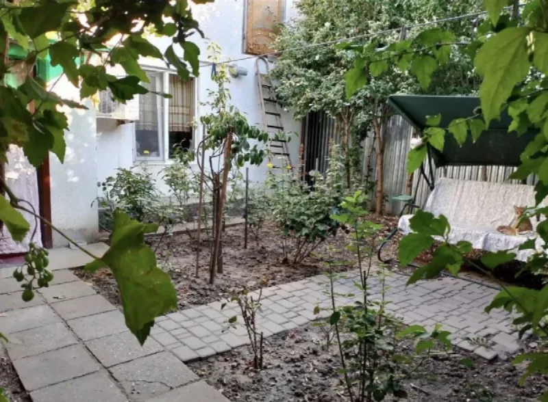 3-room house, 84 m², Chubaivka