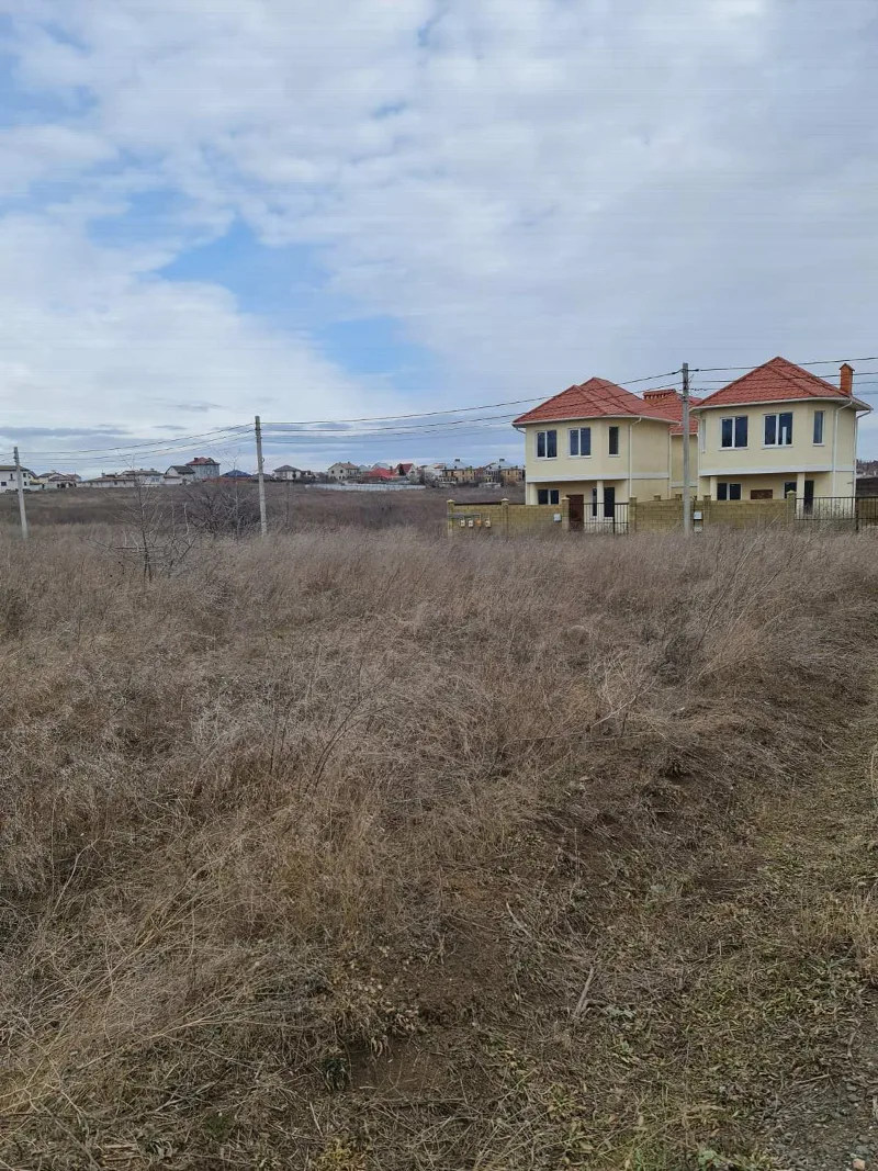 Land, Zelenyi Hai