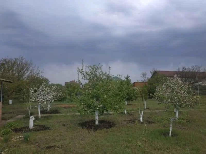 Land, Dacha Kovalevskoho