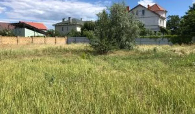 Land, Nova Dolyna