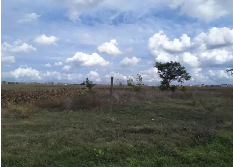 Ділянка, 1 м², Авангард