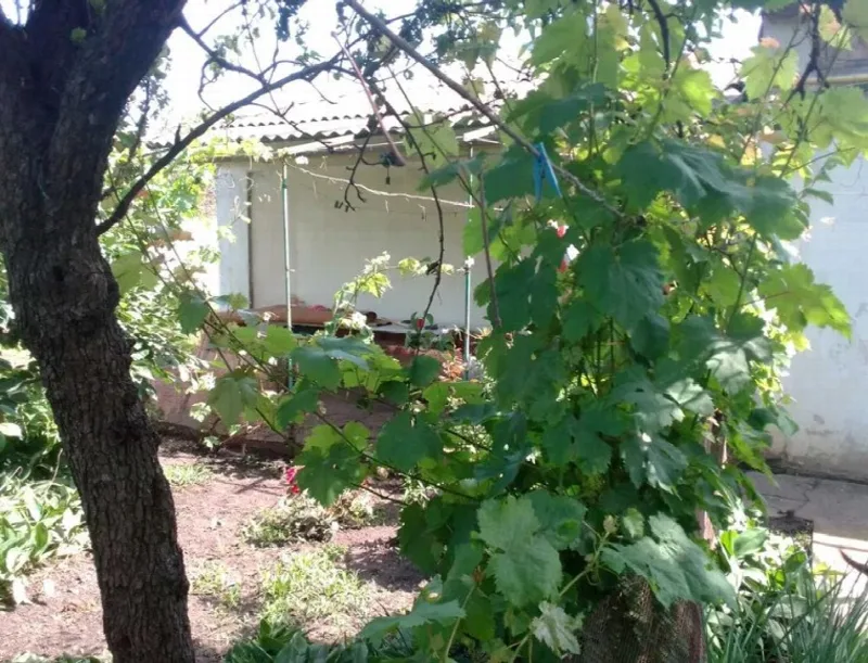 3-комнатный дом, 62 м², Чубаевка
