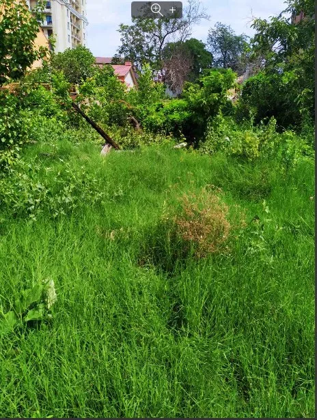 Commercial, 38 m², Fontan