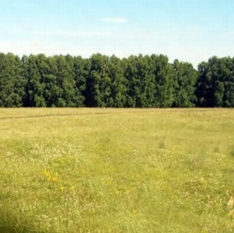 Land, Lenposelok